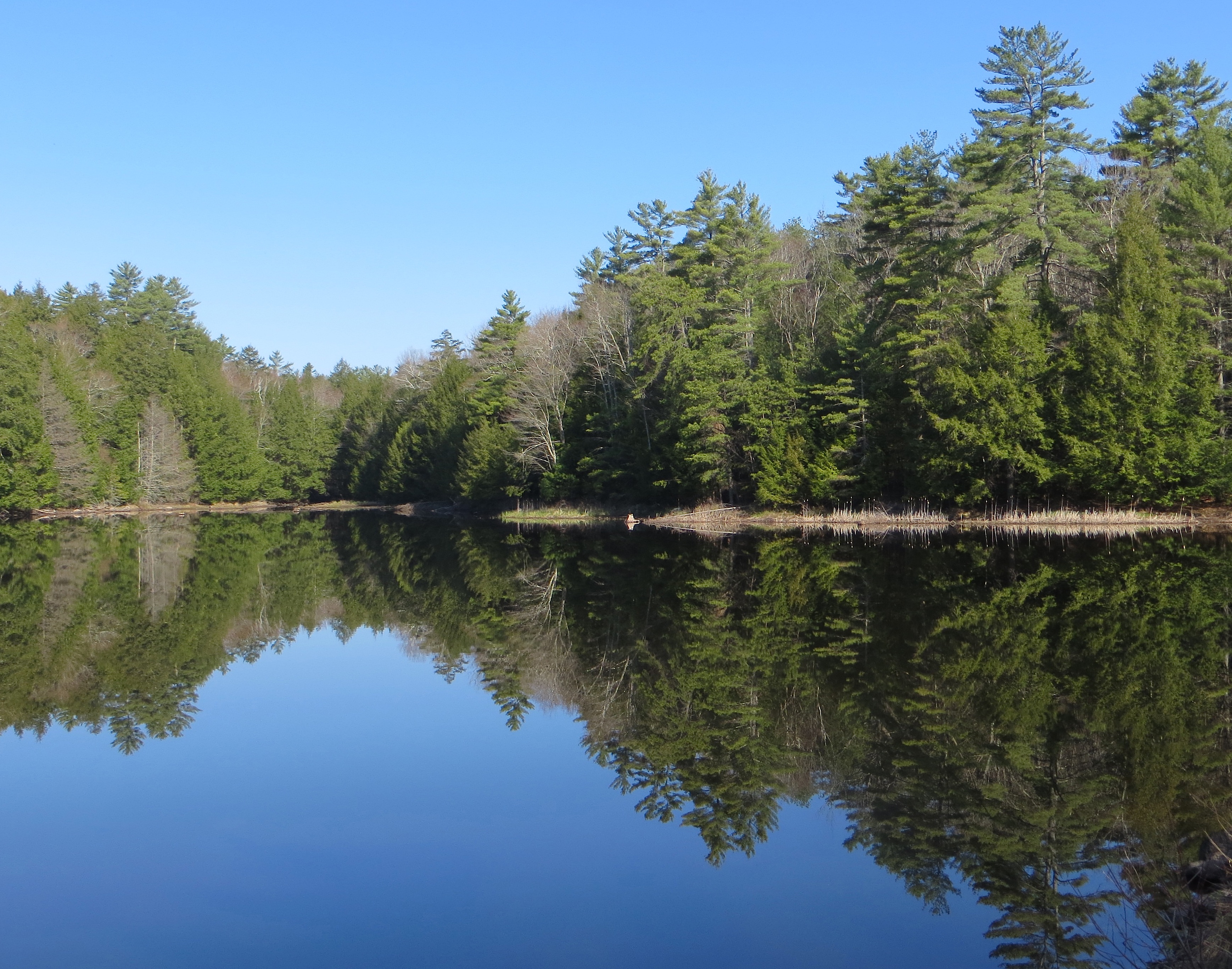 Outdoor field day activity